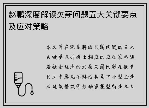 赵鹏深度解读欠薪问题五大关键要点及应对策略