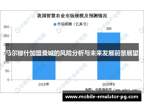 马尔穆什加盟曼城的风险分析与未来发展前景展望