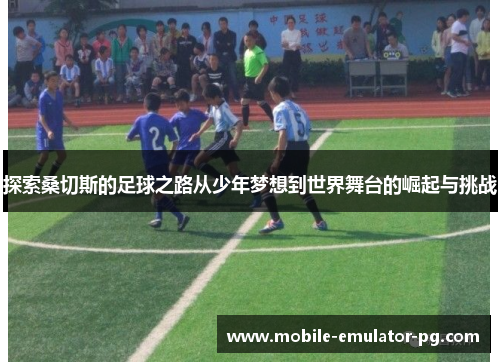 探索桑切斯的足球之路从少年梦想到世界舞台的崛起与挑战