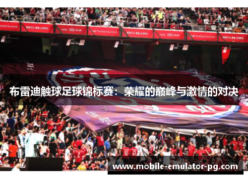 布雷迪触球足球锦标赛：荣耀的巅峰与激情的对决