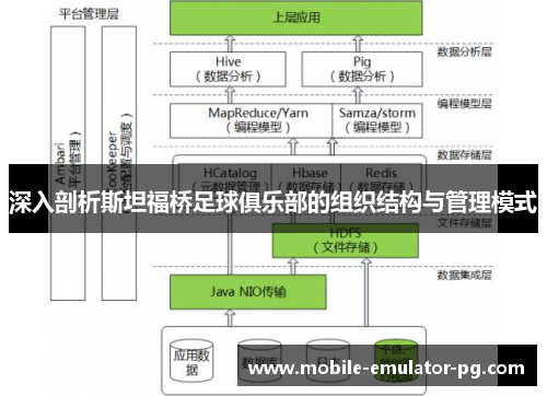 深入剖析斯坦福桥足球俱乐部的组织结构与管理模式