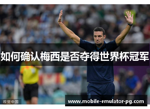 如何确认梅西是否夺得世界杯冠军