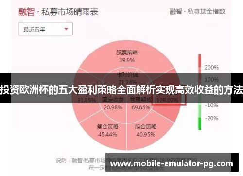 投资欧洲杯的五大盈利策略全面解析实现高效收益的方法