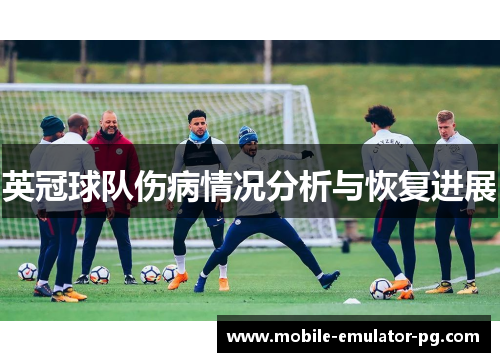 英冠球队伤病情况分析与恢复进展