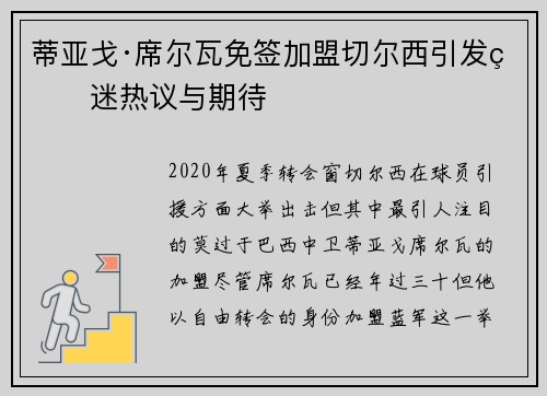 蒂亚戈·席尔瓦免签加盟切尔西引发球迷热议与期待