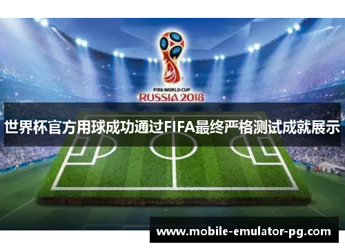 世界杯官方用球成功通过FIFA最终严格测试成就展示