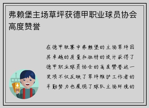 弗赖堡主场草坪获德甲职业球员协会高度赞誉